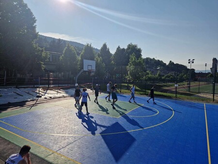 3 x 3 Borovnica 2